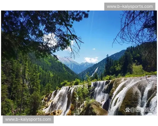 世界杯赛事深度：看见绿茵背后的故事